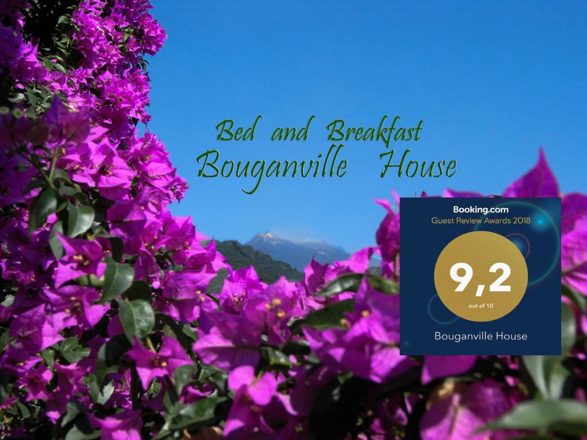 Bouganville House Zafferana Etnea Εξωτερικό φωτογραφία